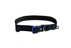 reCollar™